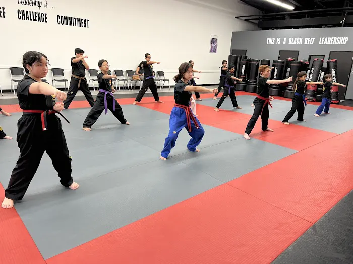 TKD Armor Academy - Taekwondo - Brazilian Jiu-Jitsu Picture 1