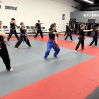 TKD Armor Academy - Taekwondo - Brazilian Jiu-Jitsu ico