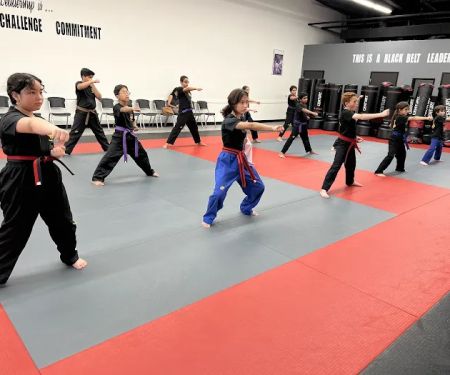 TKD Armor Academy - Taekwondo - Brazilian Jiu-Jitsu