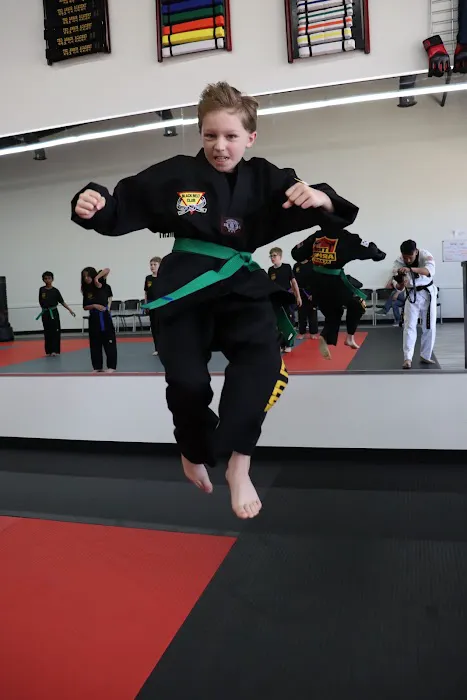 TKD Armor Academy - Taekwondo - Brazilian Jiu-Jitsu Picture 5