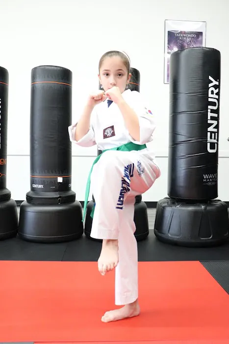 TKD Armor Academy - Taekwondo - Brazilian Jiu-Jitsu Picture 7
