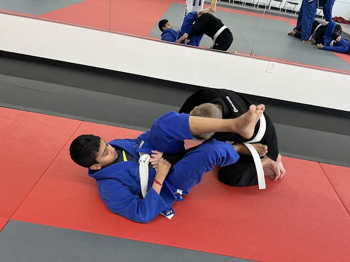 TKD Armor Academy - Taekwondo - Brazilian Jiu-Jitsu Picture 4