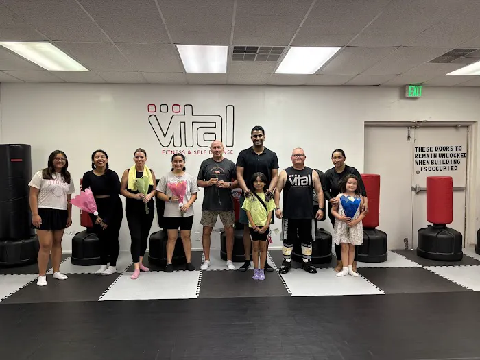 Vital Fitness & Self Defense Picture 4