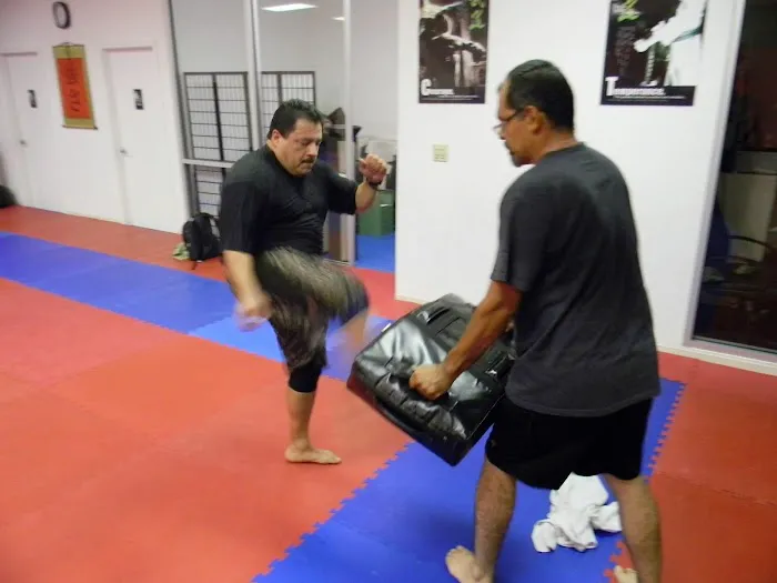 Vital Fitness & Self Defense Picture 2