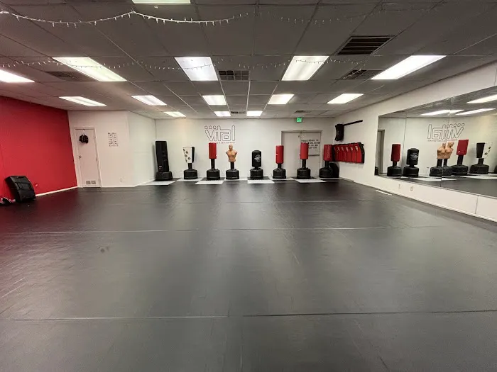 Vital Fitness & Self Defense Picture 7