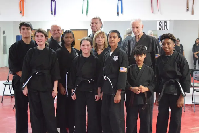 American Karate Academy Cedar Hill Picture 1