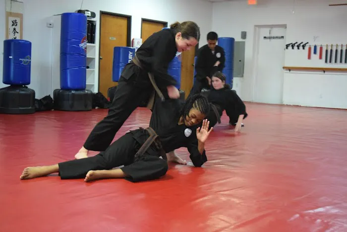 American Karate Academy Cedar Hill Picture 2
