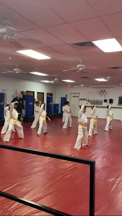 American Karate Academy Cedar Hill Picture 3