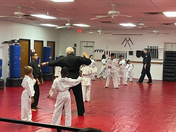 American Karate Academy Cedar Hill Picture 6