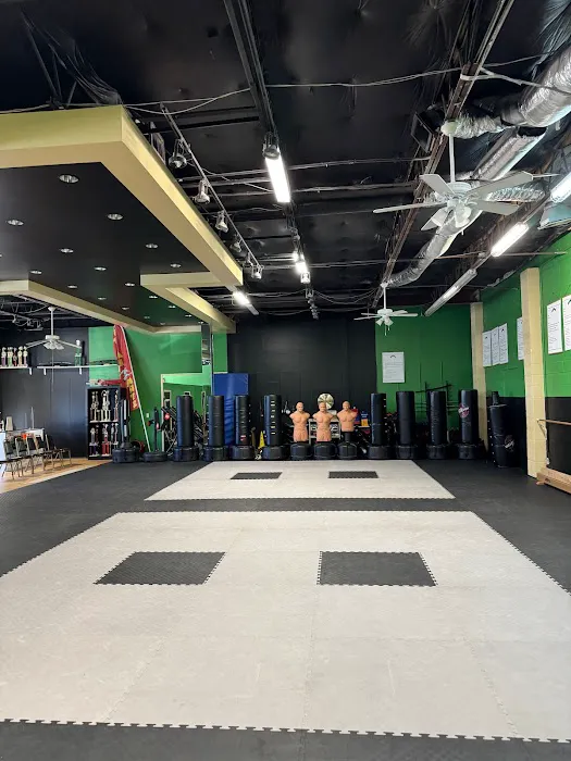 Texas Karate Do is now Imperial Dragon Martial Arts Picture 8