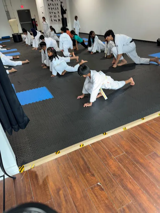 K2 Tae Kwon Do Academy Picture 9