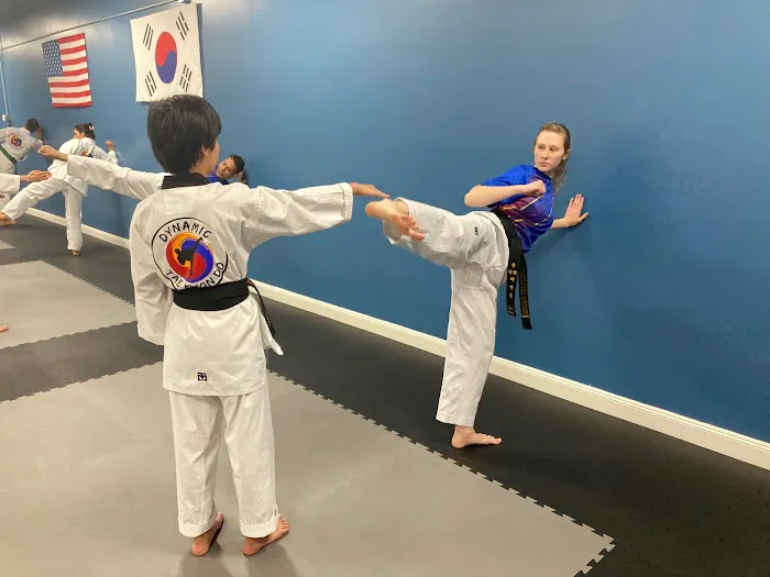 Dynamic Taekwondo Picture 3