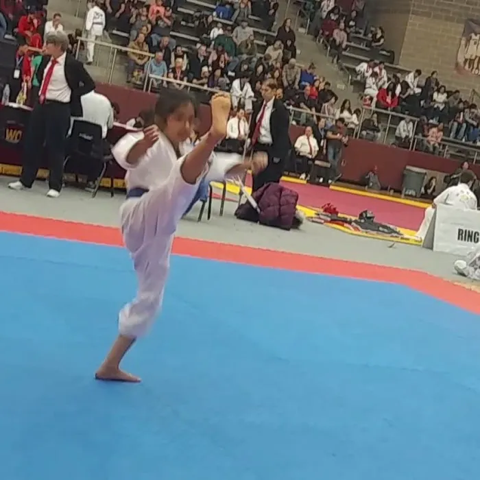 Dynamic Taekwondo Picture 6