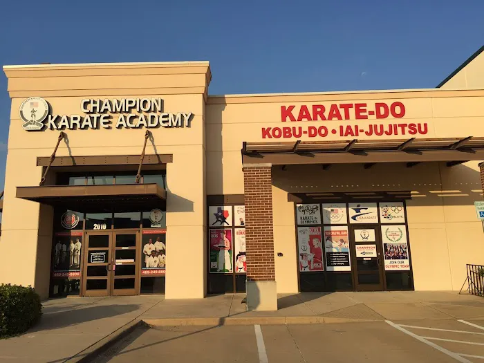 Champion Karate Academy Picture 3
