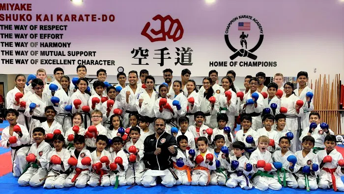 Champion Karate Academy Picture 5