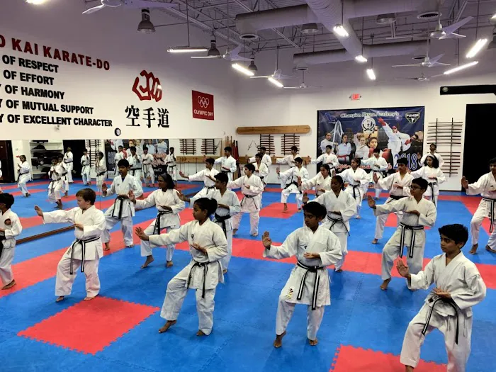 Champion Karate Academy Picture 2