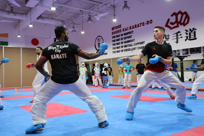 Champion Karate Academy Picture 10