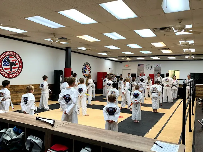 Monaghan's Taekwondo Karate Krav Maga Martial Arts and Self Defense Picture 4