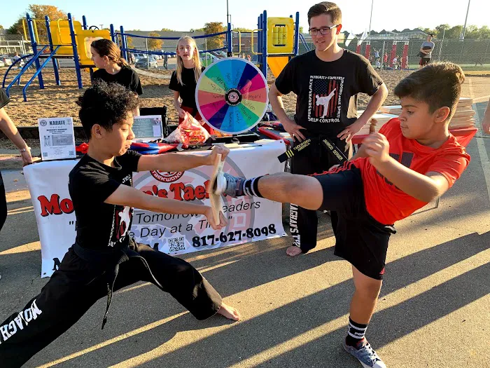 Monaghan's Taekwondo Karate Krav Maga Martial Arts and Self Defense Picture 7