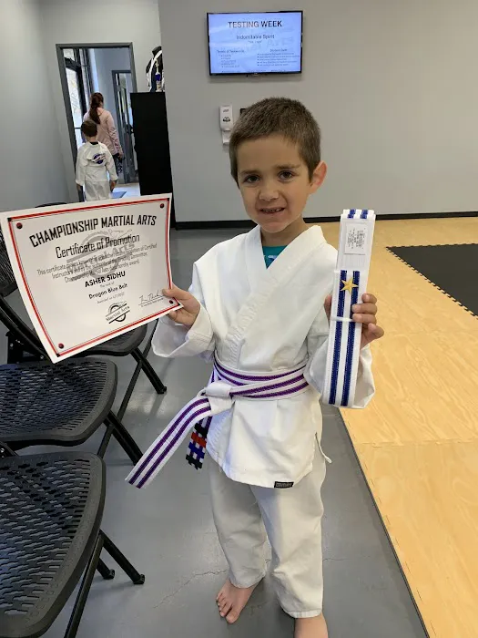Championship Martial Arts - Coppell Taekwondo Picture 8