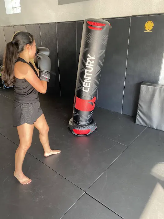 5 Elements Studio- Jiu-Jitsu & Fitness Picture 8
