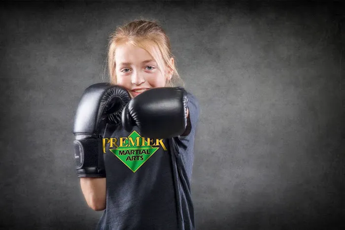 Premier Martial Arts Lakewood Picture 1