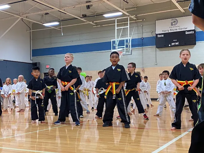 Premier Martial Arts Lakewood Picture 3