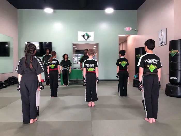 Premier Martial Arts Lakewood Picture 5