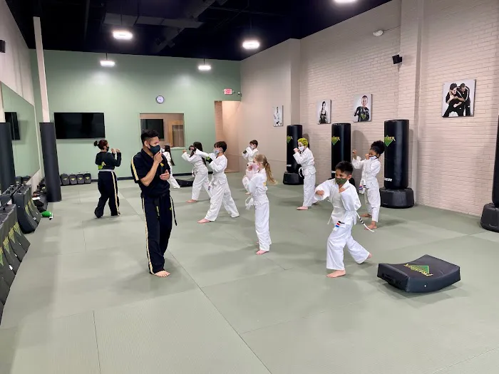 Premier Martial Arts Lakewood Picture 10