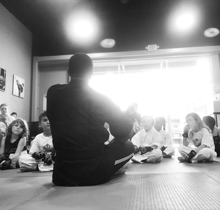 Premier Martial Arts Lakewood Picture 9