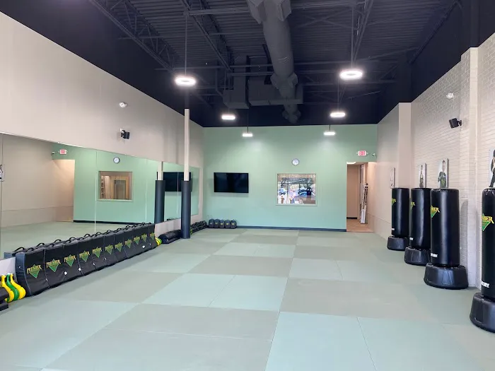 Premier Martial Arts Lakewood Picture 7