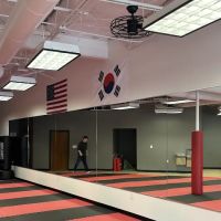 Ruchlin's Taekwondo ico