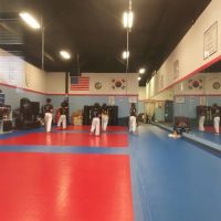 Lewis' Taekwondo ico