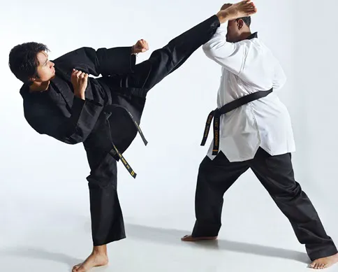 Lewis' Taekwondo Picture 4