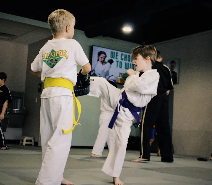 Premier Martial Arts Lake Highlands Picture 4