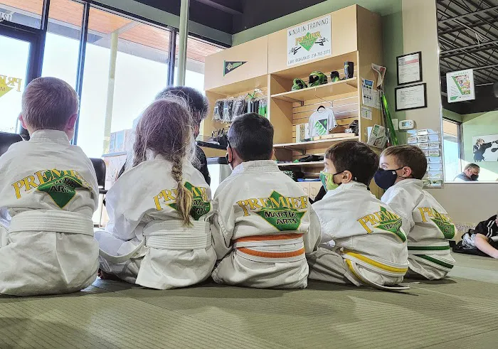 Premier Martial Arts Lake Highlands Picture 2