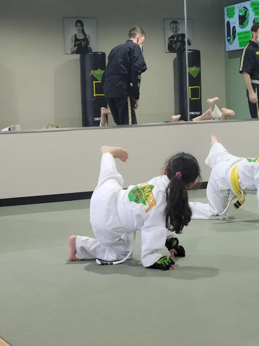 Premier Martial Arts Lake Highlands Picture 1
