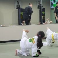 Premier Martial Arts Lake Highlands ico