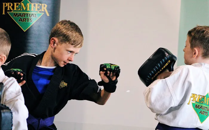 Premier Martial Arts Lake Highlands Picture 3