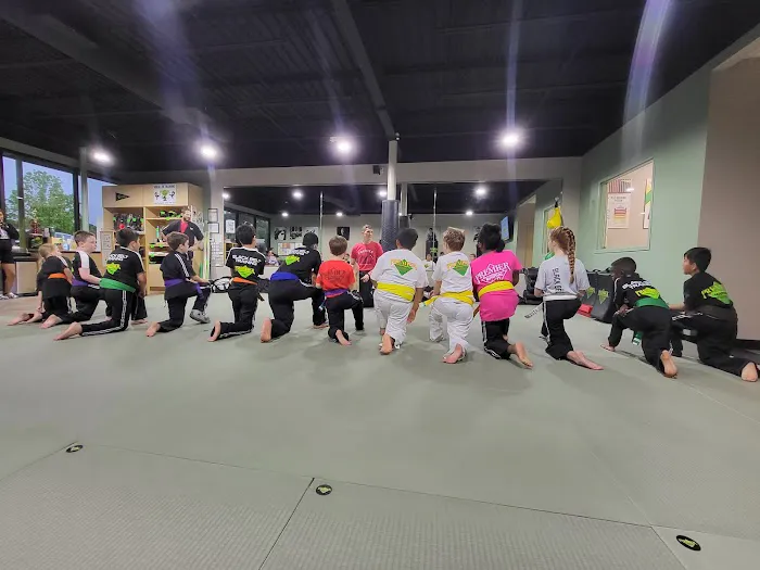 Premier Martial Arts Lake Highlands Picture 10