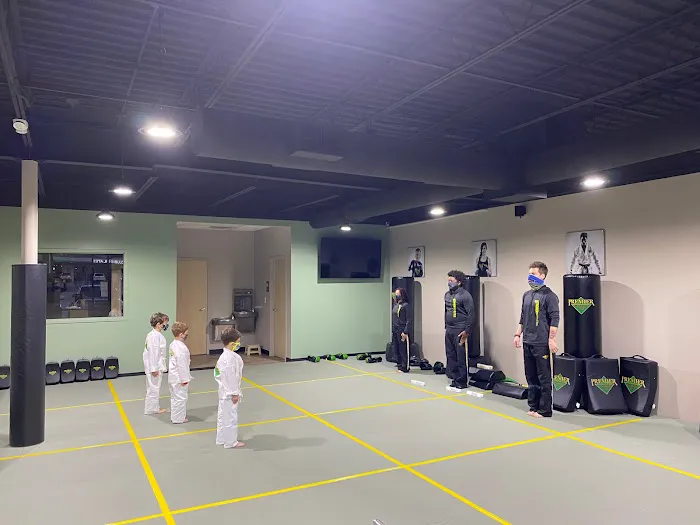 Premier Martial Arts Lake Highlands Picture 9