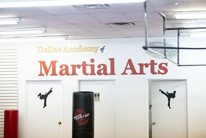 Dallas Academy of Martial Arts Picture 1