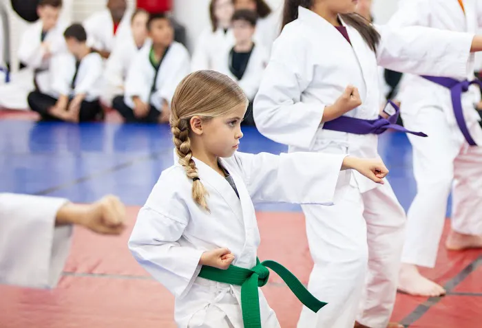 Dallas Academy of Martial Arts Picture 5