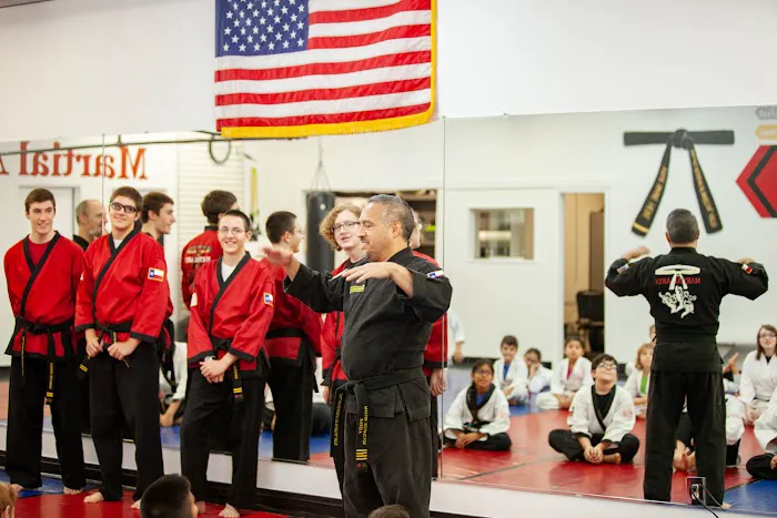 Dallas Academy of Martial Arts Picture 4