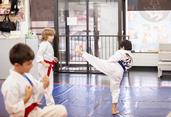 Dallas Academy of Martial Arts Picture 7