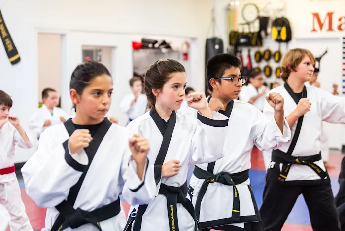 Dallas Academy of Martial Arts Picture 10