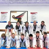 Master Lee's Taekwondo Academy ico