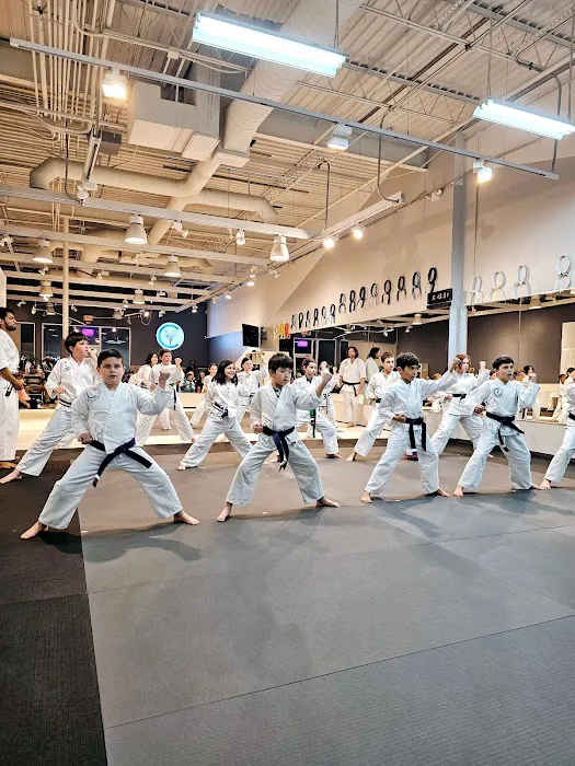 Central Martial Arts Picture 1