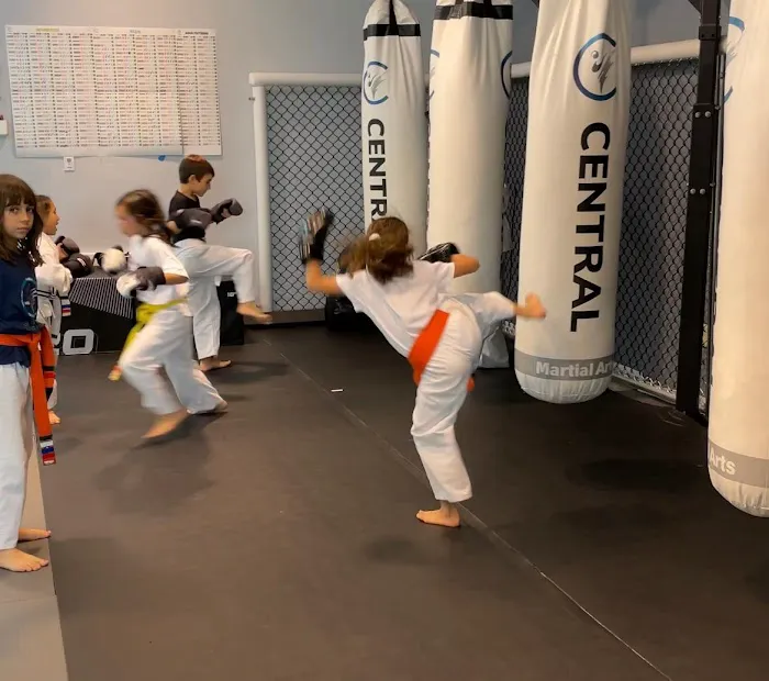 Central Martial Arts Picture 3