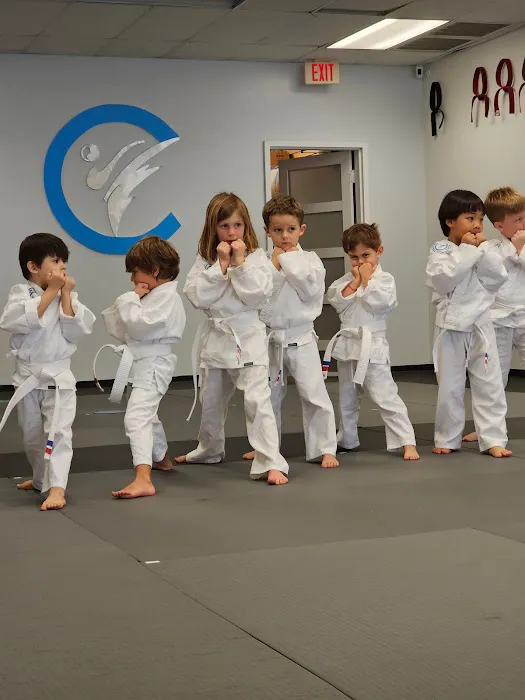 Central Martial Arts Picture 5